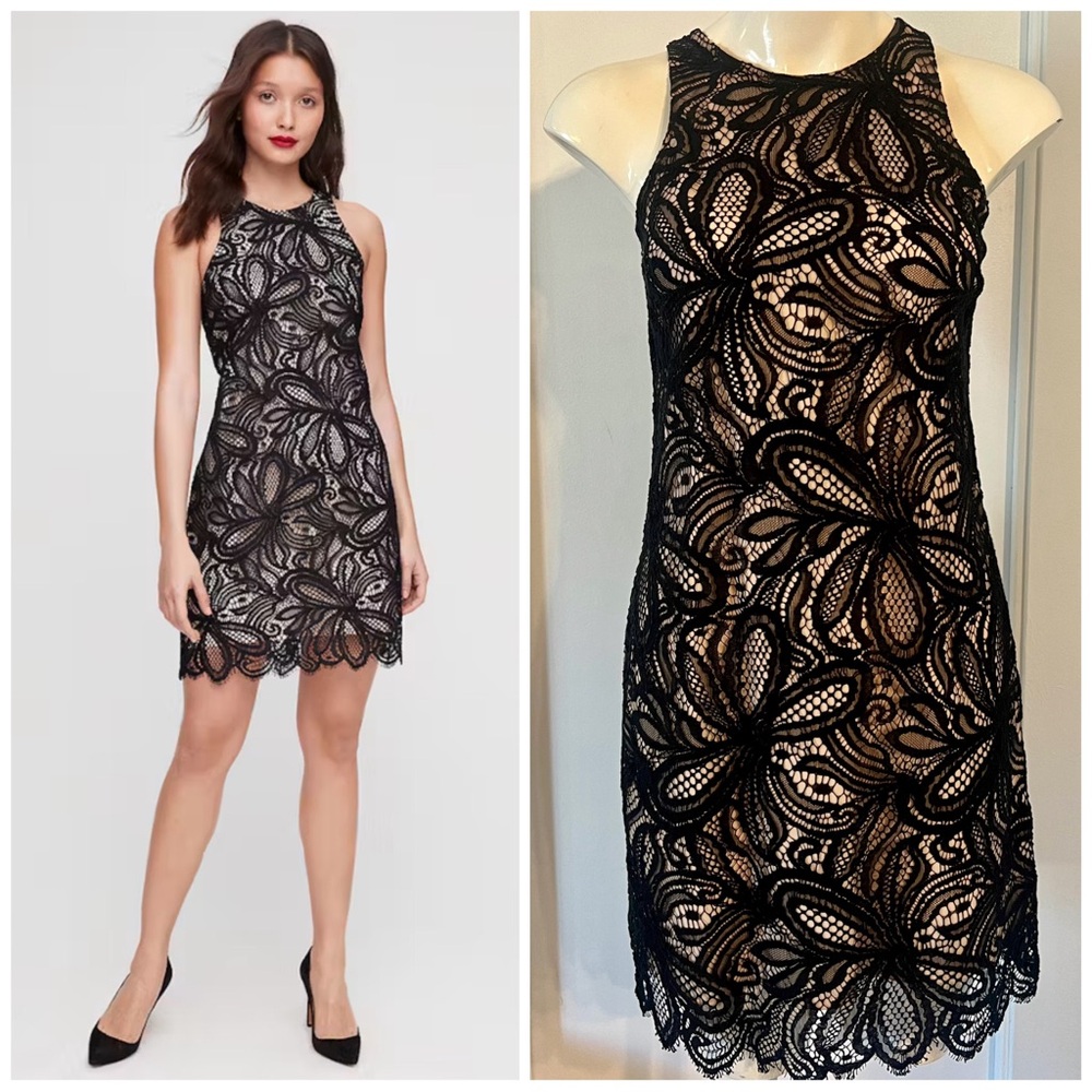 Babaton Hamptons Elegant Black Lace Dress Size 2 XS